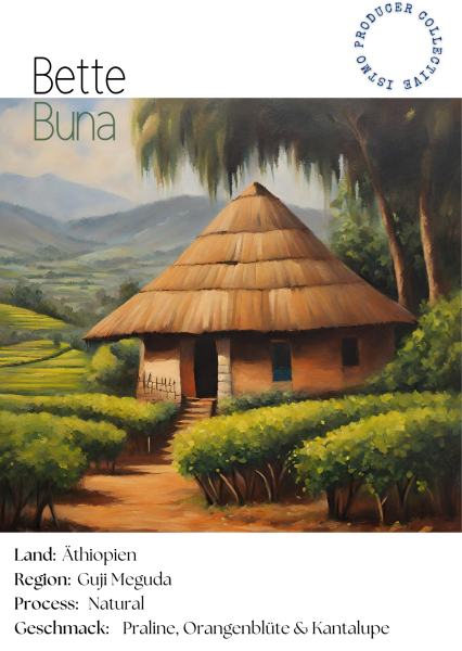 Äthiopien Guji - Bette Buna - Natural